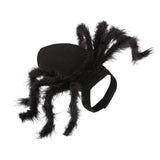 Fantasia Aranha Para Pet