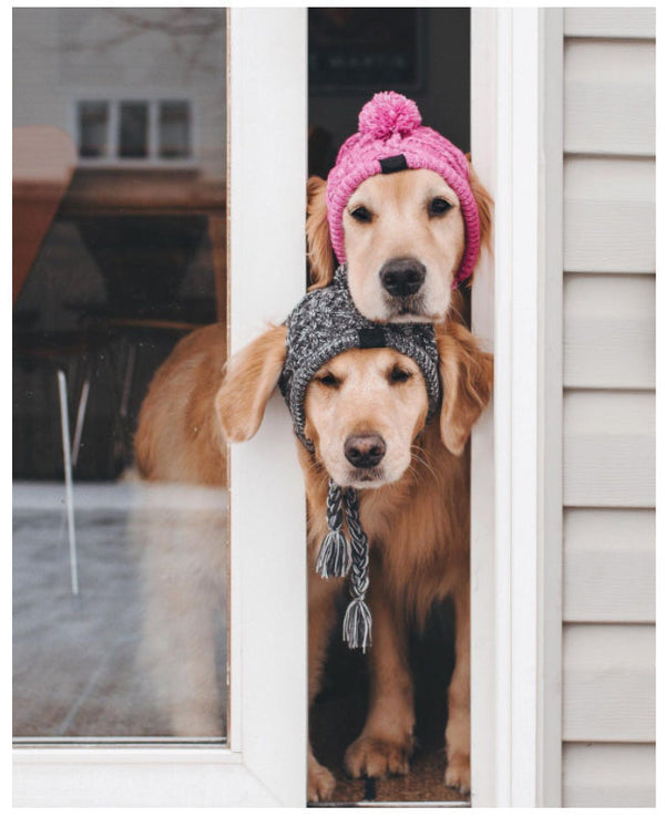 Gorro Para Pet