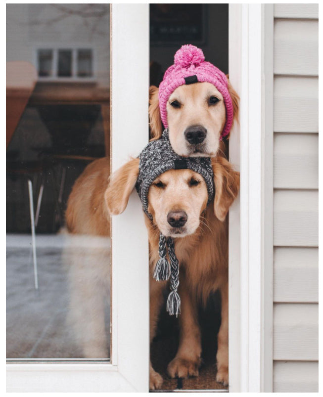 Gorro Para Pet
