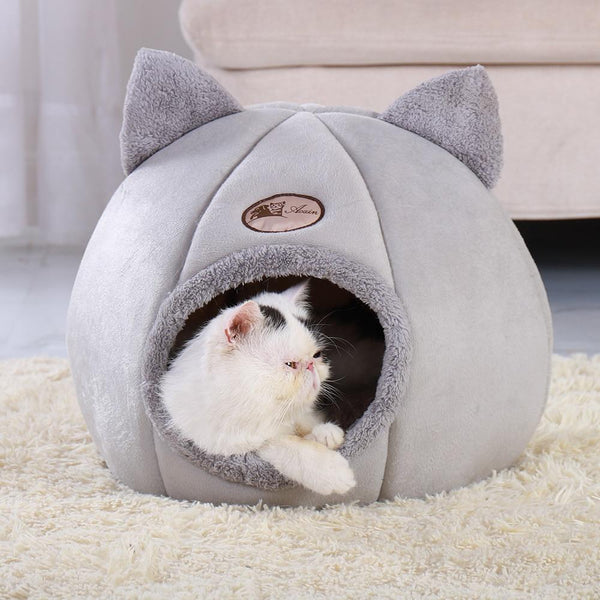 Casinha Para Gato