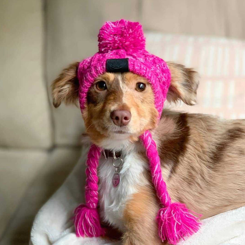 Gorro Para Pet