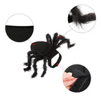 Fantasia Aranha Para Pet