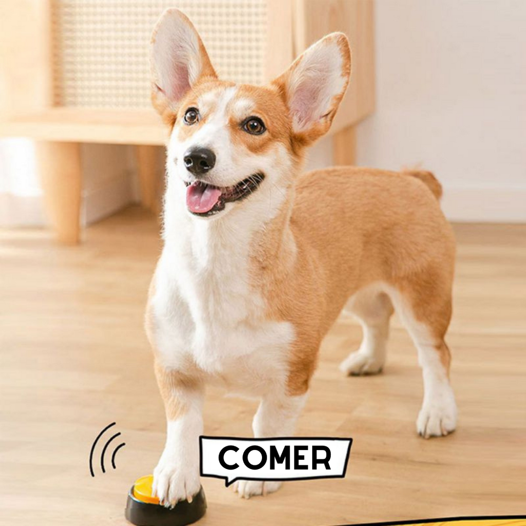 Botões de Comando Para Pet