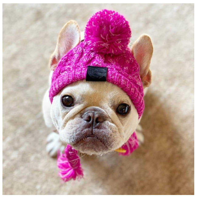 Gorro Para Pet