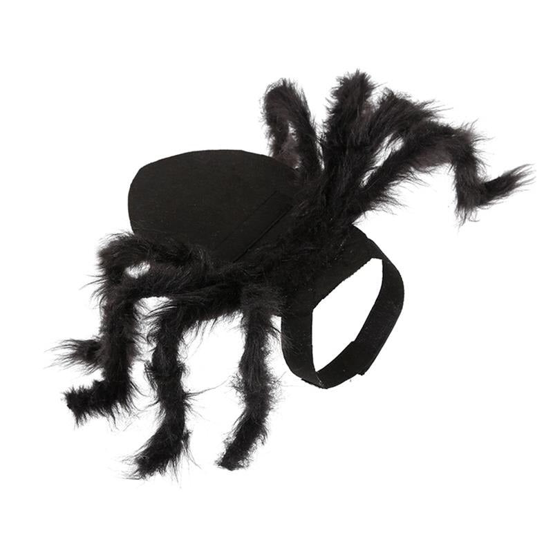 Fantasia Aranha Para Pet