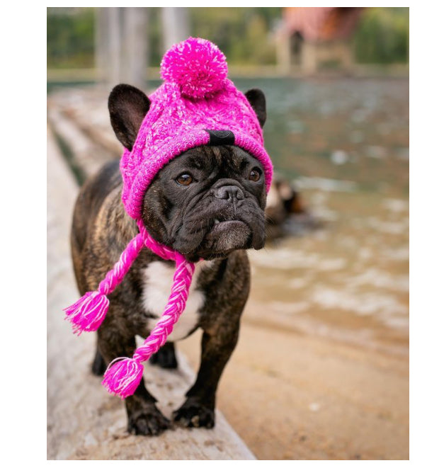 Gorro Para Pet