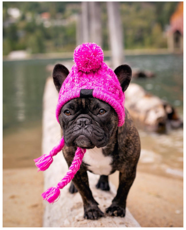 Gorro Para Pet