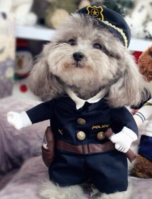 Fantasia Policial Para Pet