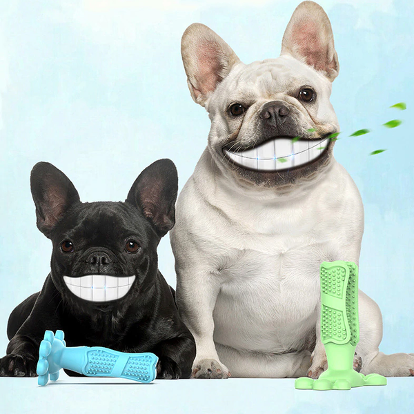 Escova de Dente Para Cães