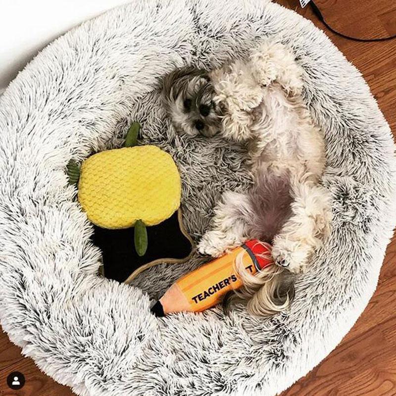 Cama Confortável Para Pet