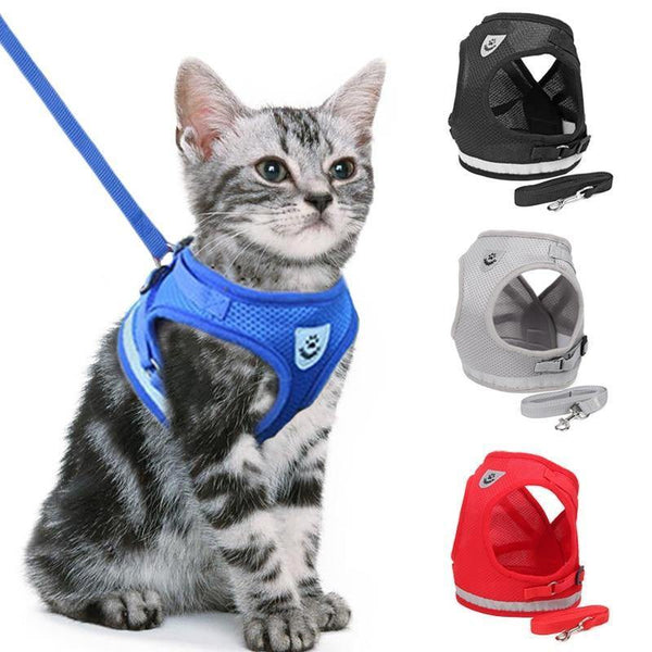 Coleira Peitoral Para Gatos