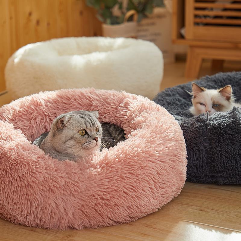 Cama Confortável Para Pet