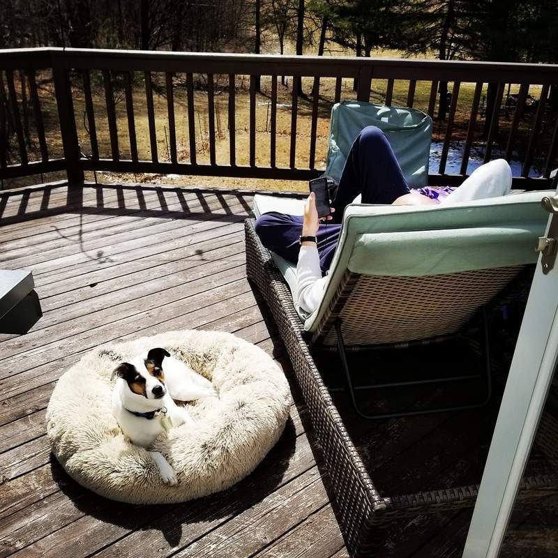 Cama Confortável Para Pet