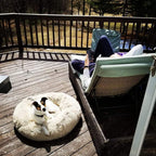 Cama Confortável Para Pet