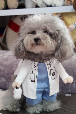 Fantasia de Médico Para Pet