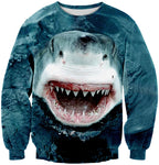 43495060537401|43495060570169|43495060602937|43495060635705|43495060668473