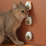 Brinquedo Com Erva Natural Para Gato