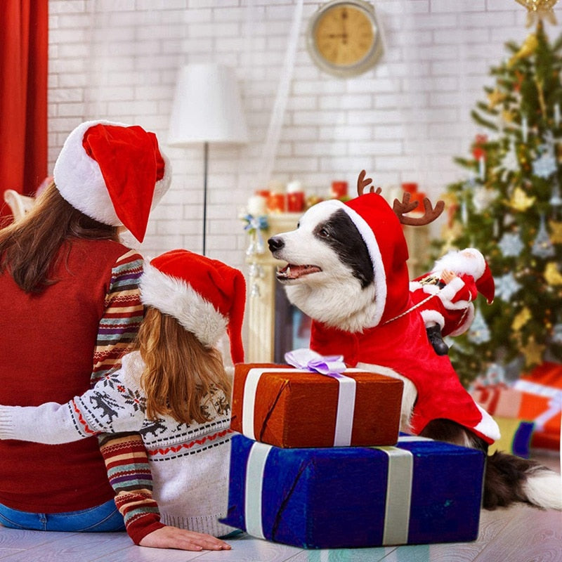 Fantasia Noel Para Cachorro