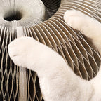 Brinquedo Interativo Para Gatos