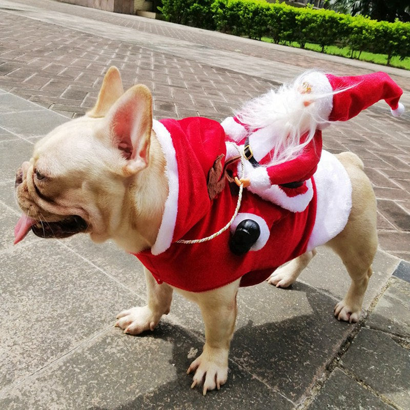Fantasia Noel Para Cachorro