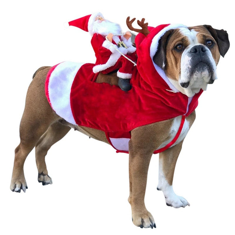 Fantasia Noel Para Cachorro