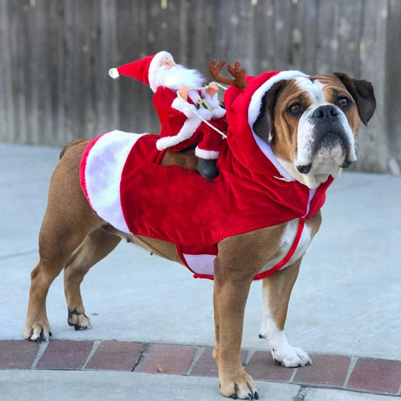 Fantasia Noel Para Cachorro