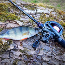 Carretel Elegante Para Pesca