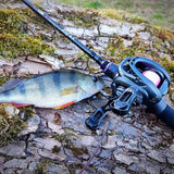 Carretel Elegante Para Pesca