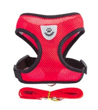 Coleira Peitoral Para Gatos