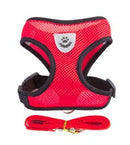 Coleira Peitoral Para Gatos