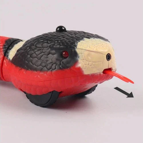 Brinquedo de Cobra Para Gatos