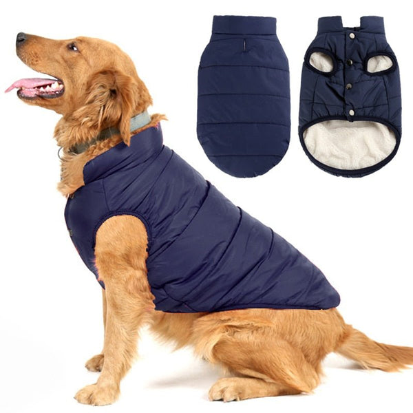 Colete Para Pet