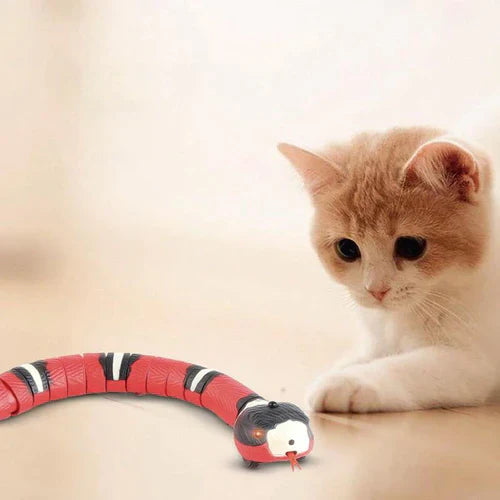 Brinquedo de Cobra Para Gatos