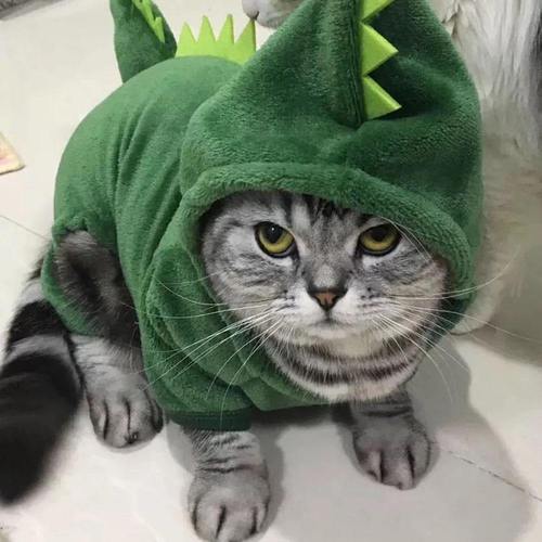 Fantasia Dino Para Pet