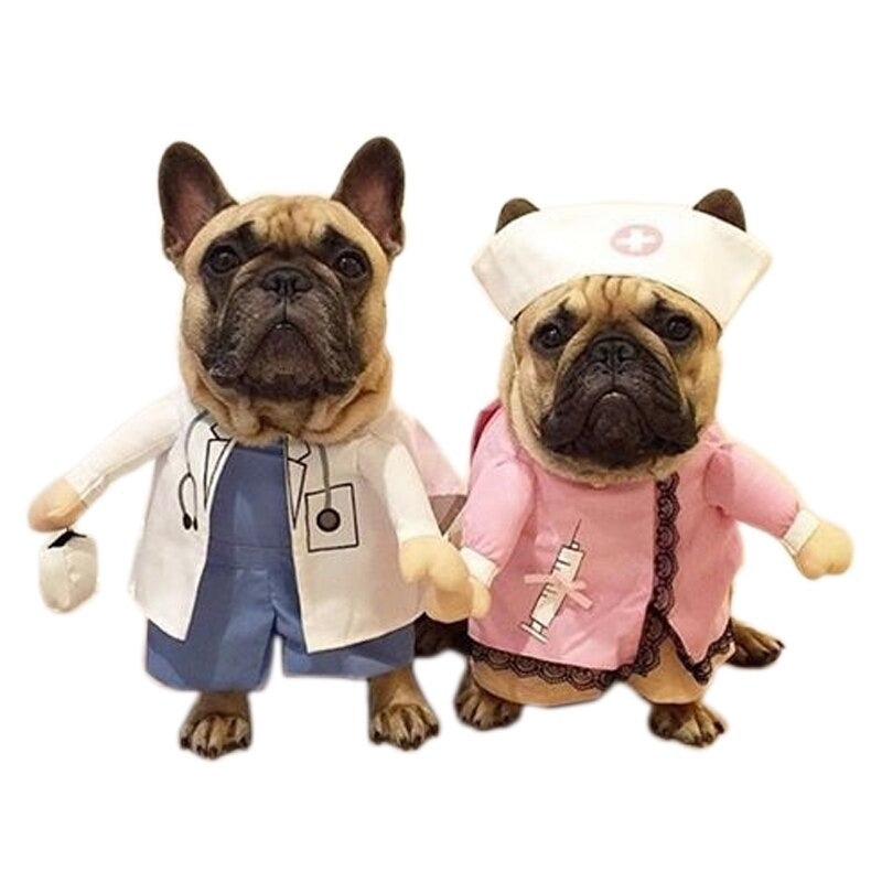 Fantasia de Médico Para Pet