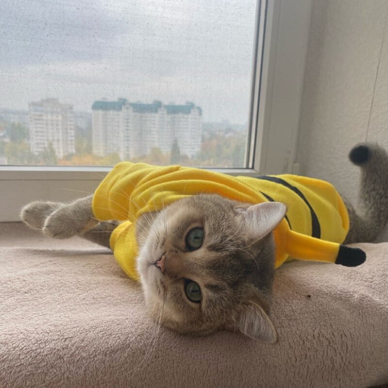 Fantasia Pikachu Para Pet