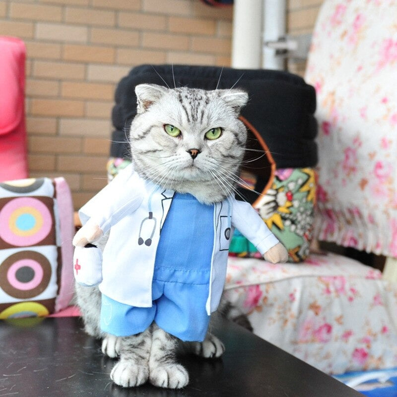 Fantasia de Médico Para Pet