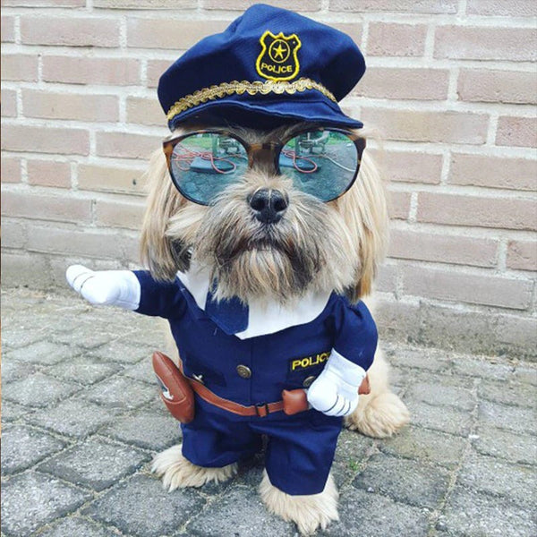 Fantasia Policial Para Pet