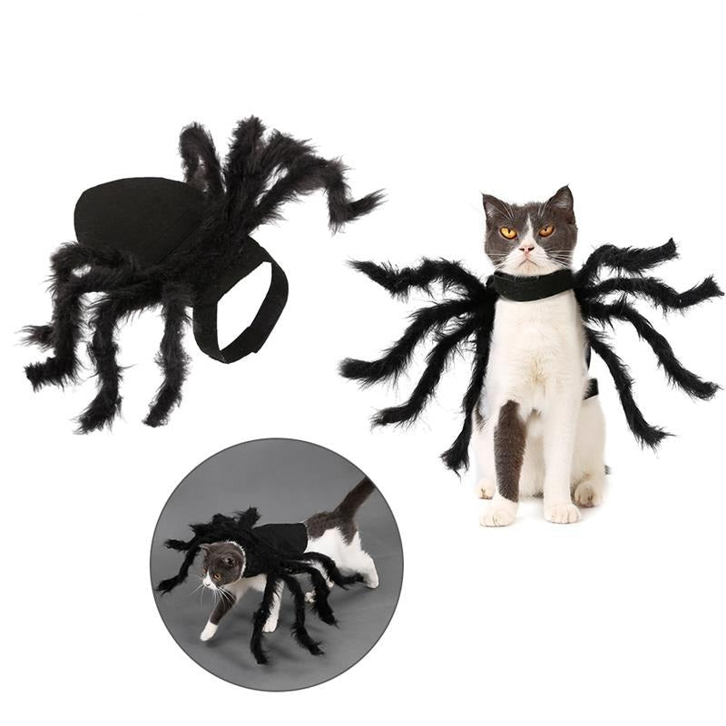 Fantasia Aranha Para Pet