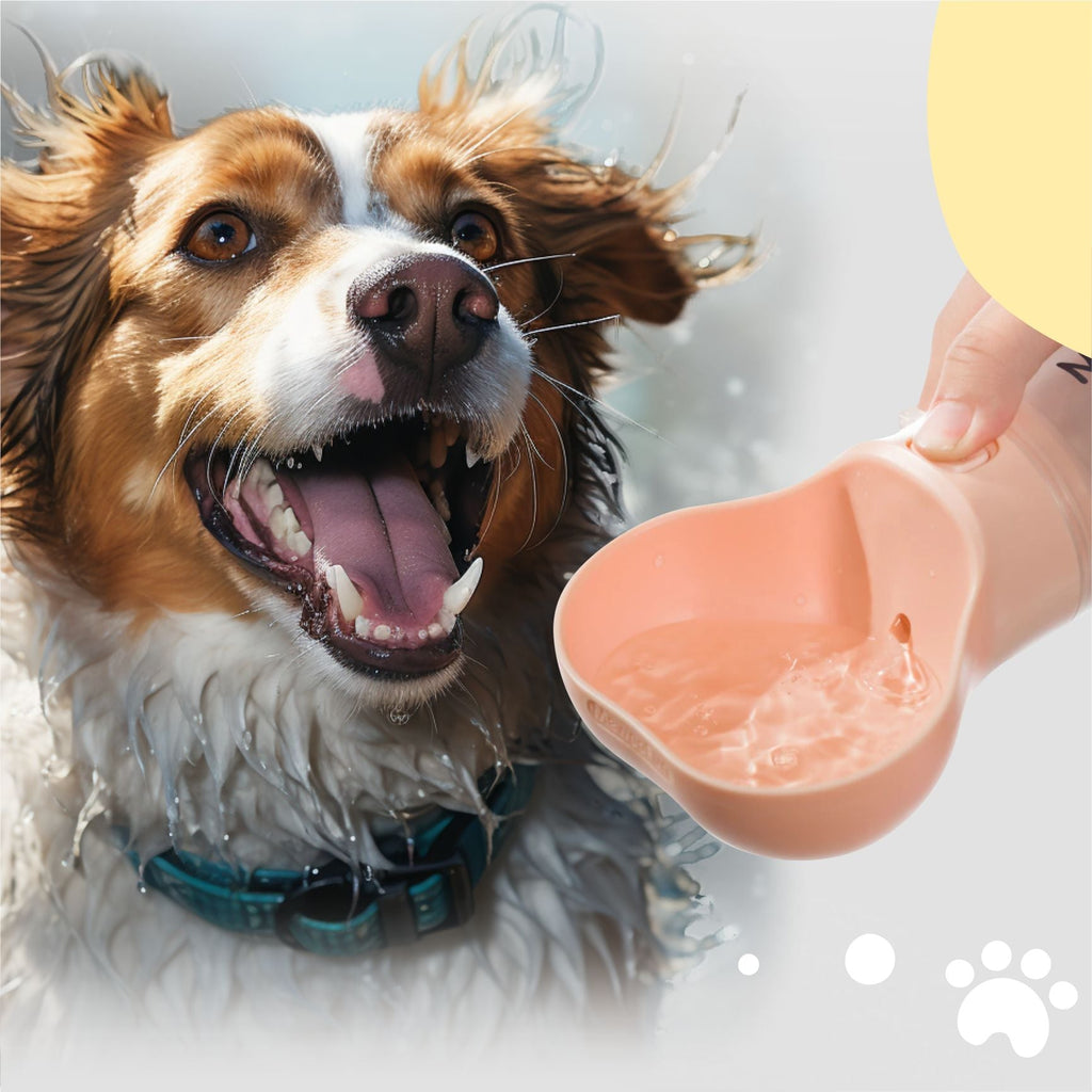 Garrafa Com Armazenador de Sacola