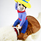 Fantasia Segura Peão Para Pet