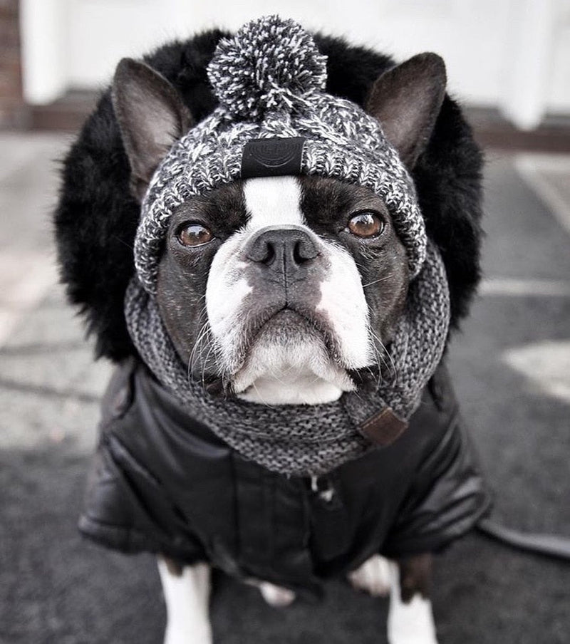 Gorro Para Pet