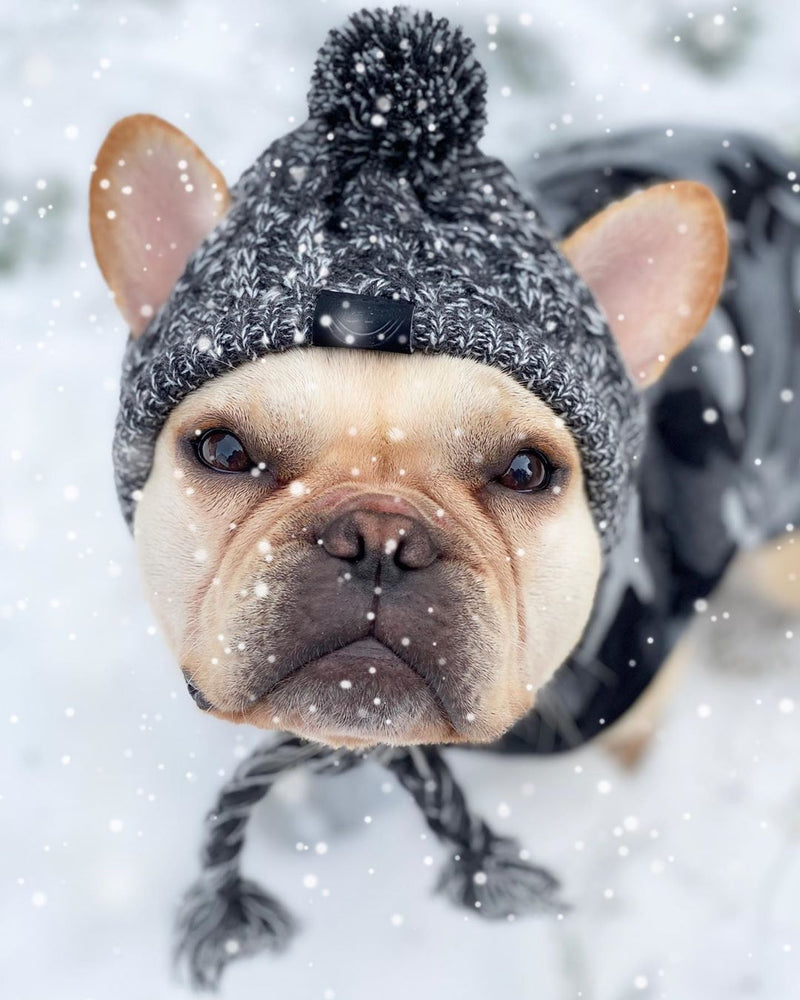 Gorro Para Pet
