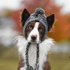 Gorro Para Pet